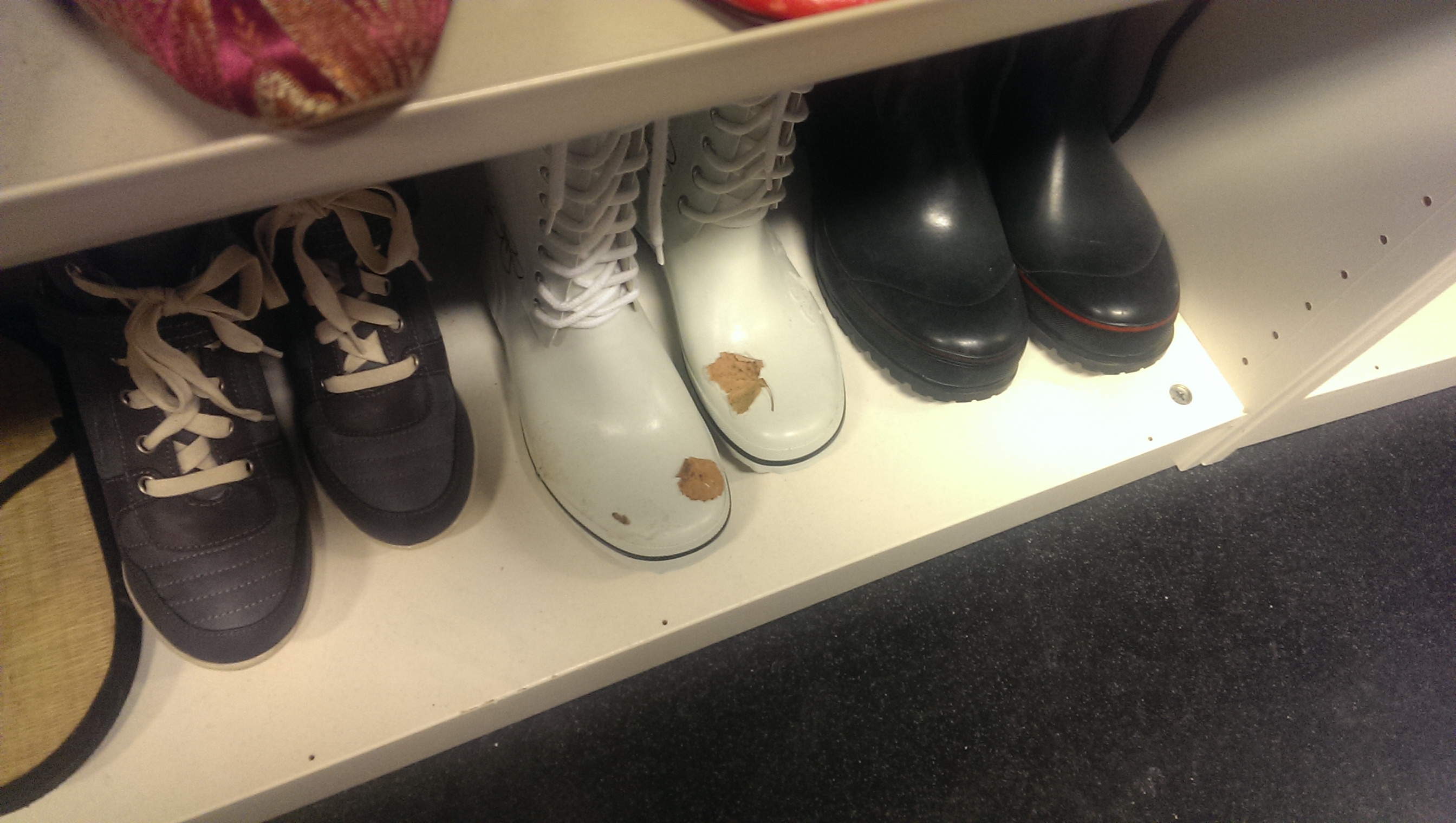 shoes with leaves